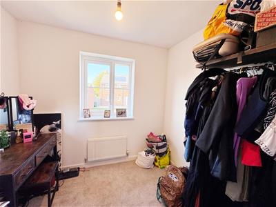 Picture 15